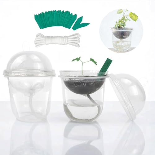 ORIMERC 10 Set Nursery Pots with Humidity Dome, Clear Nursery Pots with Drainage, Seedling Pots for Plants, Seed Starter Pots, Self Watering Small Plant Pots for Planting Vegetables Fruit (Thin)