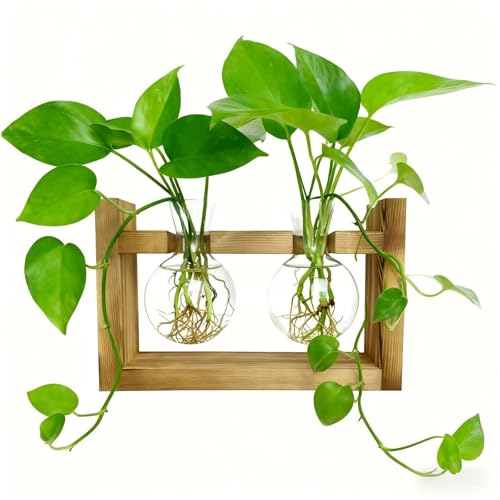 Wooden Frame Glass Hydroponic Planter Vase-Creative Desktop Green Plant Container for Office Home Decor & Gift-Natural Bamboo Stand Water Propagation Station-2 Glass Vase