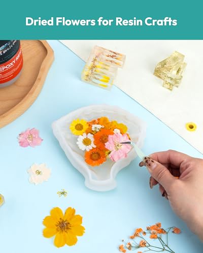 Dried Flowers, Resiners 100Pcs Pressed Flowers for Craft Real Natural Dried Flowers Dry Leaves Kit for DIY Making Crafts Resin Soap Candle Scrapbook Supplies Card Making Jewelry - color: Fall Color 100pcs