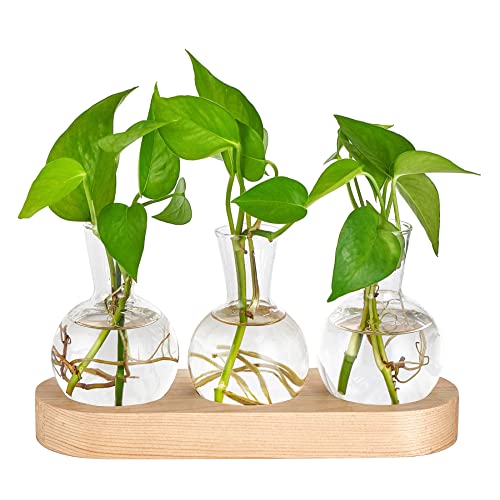 Mkono Plant Propagation Station, Desktop Glass 3 Bulb Vase Beige Wood Tray - color: Beige, size: Medium