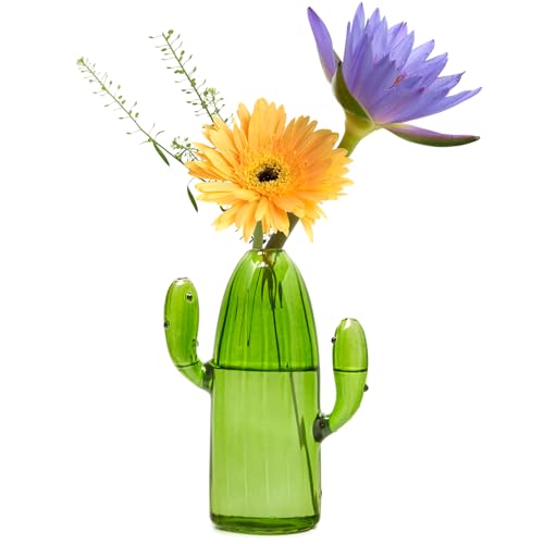 XXXFLOWER Cactus Plant Propagation Station 1 Cactus Vase Terrarium Jars - size: 1PC Cactus Vase