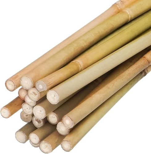 Natural Bamboo Plant Stake（Approx 5FT 50Pcs） Sturdy Bamboo Poles, Durable Plant Bamboo Stake, Garden Climbing Plant Bracket. - size: BS-4.8ft-50pcs