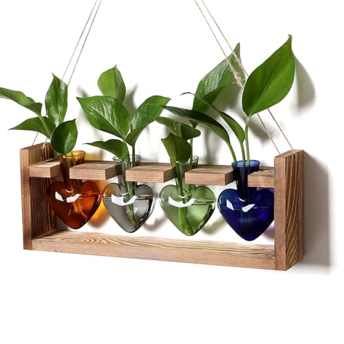 Plant Propagation Stations Heart Plant Terrarium Kit - color: Color01