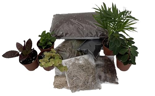 Hirt's Terrarium Kit with 5 Terrarium Plants in 2" Pots