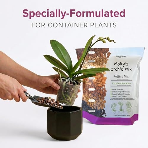 Molly's Orchid Potting Mix Chunky Soil-Free for Indoor Orchids 3 Dry Quarts - size: 3 Dry Quarts, style: Orchids