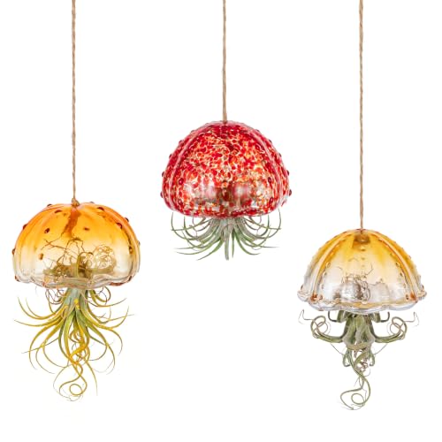 Glasseam Fall Glass Jellyfish Decor, 3Pcs Hanging Air Plant Holders - color: Orange-yellow