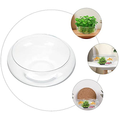10 Inch Glass Bowl for Plants - Lotus Planter & Clear Terrarium, Large Round Vase for Table Centerpiece, Shallow Bowl for Goldfish & Betta, Decorative Glass Hydroponic Plant Pot 25cm - size: 25x25cm