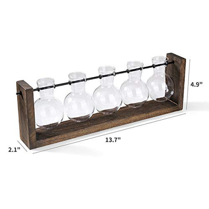 Mkono Plant Terrarium with Wooden Stand, Wall Hanging Glass Planter Desktop Plant Propagation Vase with Metal Swivel Retro Rack for Hydroponics Plants Home Office Decor