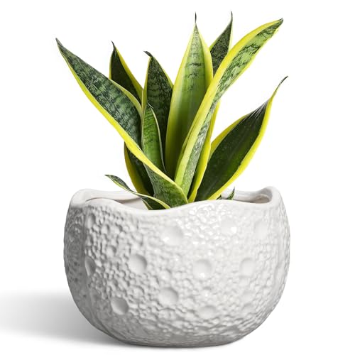 Ceramic Plant Pot - 8 Inch Round Planter with Drainage Hole, Decorative Plant Pots for Indoor Outdoor Plants, Modern Unique Flower Pots, House Living Room Decor, Housewarming Gifts, White - color: White, size: 8.2 Inch