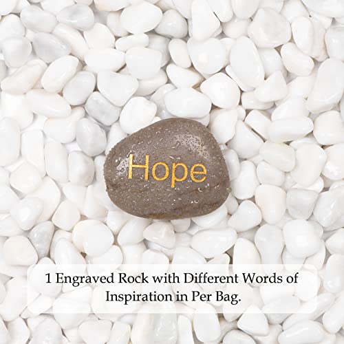 11lbs White Natural River Rocks, Polished Pebbles for Plants Garden, 0.3-0.8 inch Decorative White Stones, Ideal for Fish Tank, Vases, Crafting, Home Decor and Garden Landscaping Rocks,White - size: 11 Pounds, style: Snow White