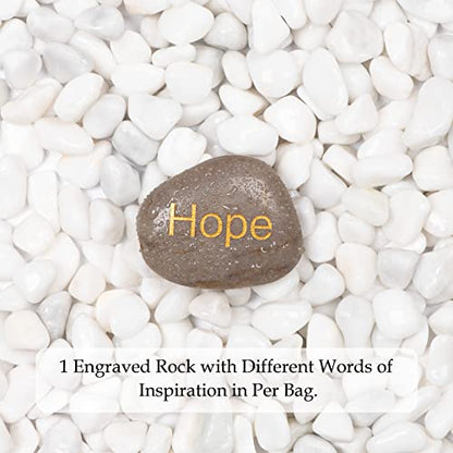 11lbs White Natural River Rocks, Polished Pebbles for Plants Garden, 0.3-0.8 inch Decorative White Stones, Ideal for Fish Tank, Vases, Crafting, Home Decor and Garden Landscaping Rocks,White - size: 11 Pounds, style: Snow White
