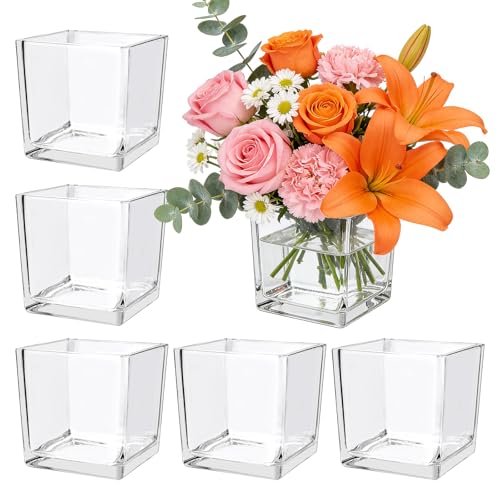 6 Pack Square Glass Vase 4" x 4" x 4", Clear Cube Vases for Centerpieces - size: 4"-6Pack
