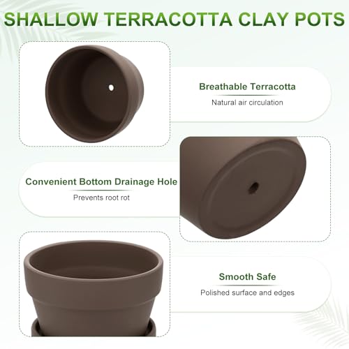 M METERXITY 6-Pack Shallow Terracotta Clay Pots, 4.3" Ceramic Small Plant Pots with Saucer and Drainage Holes for Succulent Plants/DIY Crafts, Terracotta Pottery Planters [Dark Brown] - color: Dark Brown