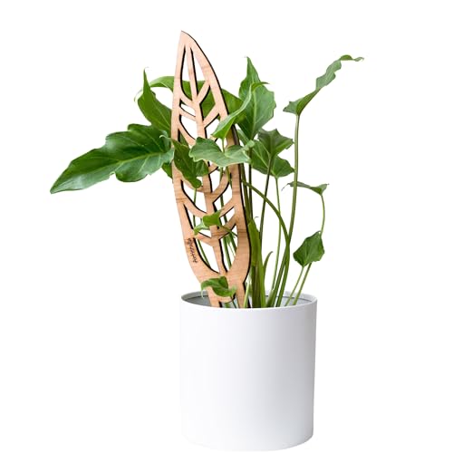 Treleaf Bare™ Anthrulla™ – Customizable Wooden Queen Anthurium Leaf Plant Trellis – Grande Size 24” Indoor Plant Support and Decorative Houseplant Stake for Potted Vines and Climbing Plants - size: Grande - 24" tall, style: Anthrulla