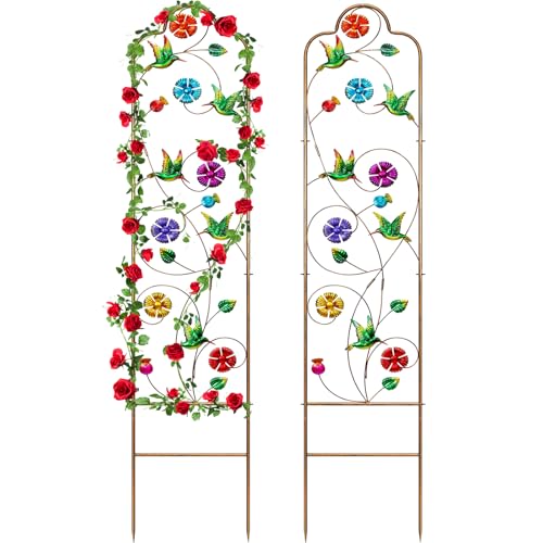 2 Pack Metal Garden Trellis Arched Fence Trellises for Climbing Plants Outdoor, Roses, Vines, Flowers, and Vegetables Support, 60'' H x 12'' W, Hummingbird - color: Hummingbird