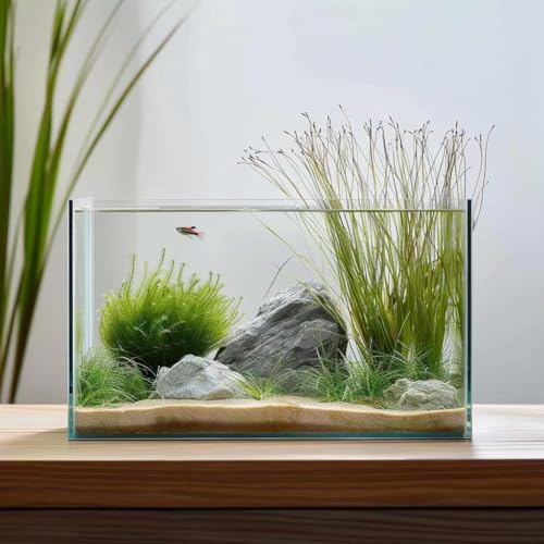 Vimvins 10 Gallon Glass Fish Tank, Easy to Maintain Small Aquarium for Betta/Goldfish/Snails/Shrimp and Aquatic Planting. - size: 10 Gallon
