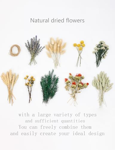 xin's convey DIY Natural Dried Flower Set, Bulk Dried Flowers for Vase, Dried Flowers with Stems, Dried Roses, Mini Dried Flower Bouquets.(Brown) - color: Brown