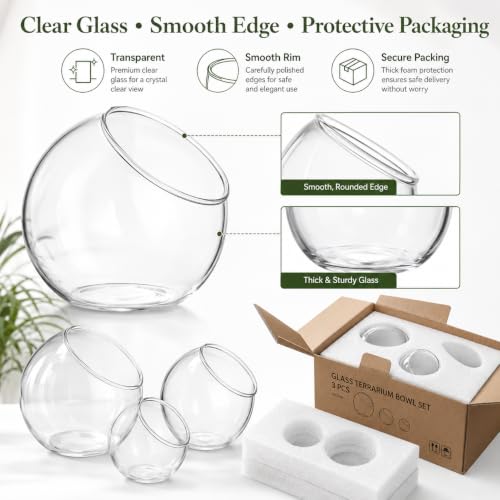 3 Pack Glass Terrarium Bowls for Air Plants, Clear Hydroponic Plant Propagation Vases with Wide Opening, Mini Indoor Garden Containers for Succulents, Pothos and Desk Decor