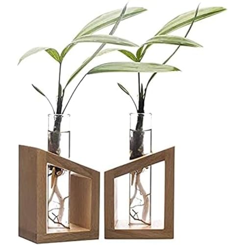 EISCO Plant Propagation Station Stands, Set of 2 - Test Tube Plant Holder Propagation Vase with Wooden Stand for Plant Cuttings - Includes Tube Brush - LABZIO Laboratory Décor