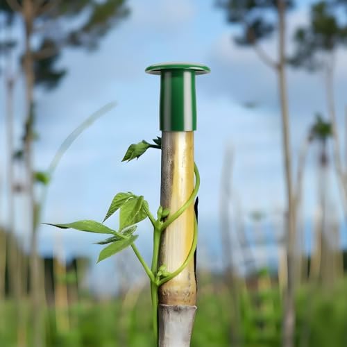 Cosmos 12 Pcs Garden Cane Caps Bamboo Stick Protectors Rattan Toppers Bamboo Pole Sleeves Plant Stick Support Holder Small Cane End Covers for Outdoor Fence Rebar Stake (Round Shape) - style: Round Shape