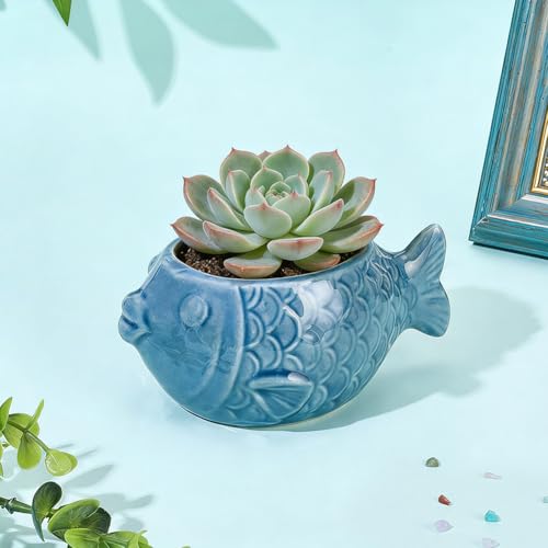 SUNNYCLUE Ceramic Succulent Pot Fish Ceramic Pot with Drainage Hole Ocean Series Summer Sea Hawaii Blue Flower Vase Bonsai Cactus Planters for Indoor Outdoor Plants Office Home Garden Decorations - style: Fish