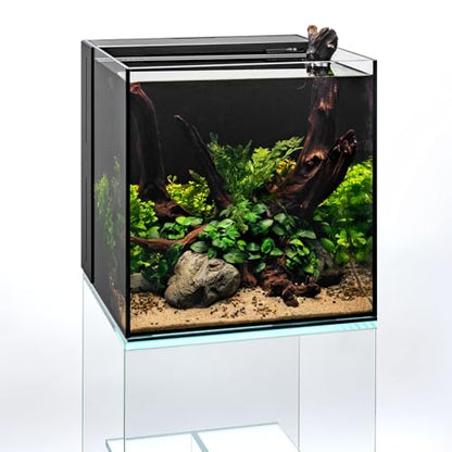 Ultum Nature Systems Driftwood - Malaysian Drift Wood for Fish Tank, Planted Tank, Terriarium, Paludarium - Versatile Natural Driftwood Decor, Events Wood Centerpiece - Malaysian, Large (16-20") - size: 16-20"
