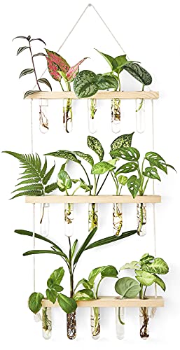 Mkono Plant Propagation Station, 3 Tier Beige Wall Hanging Vase Test Tubes | Glass Terrarium Planter,Wooden Stand,for Hydroponic Cuttings Flowers,Bathroom Living Room Office Decor,Plant Lovers Gift - color: Beige, size: Medium