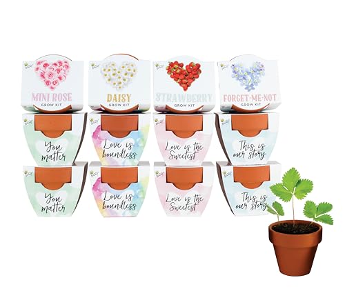BUZZY Seeds Love Collection Grow Kit 12-Pack, Terracotta Pots, Assorted - color: Multicolor
