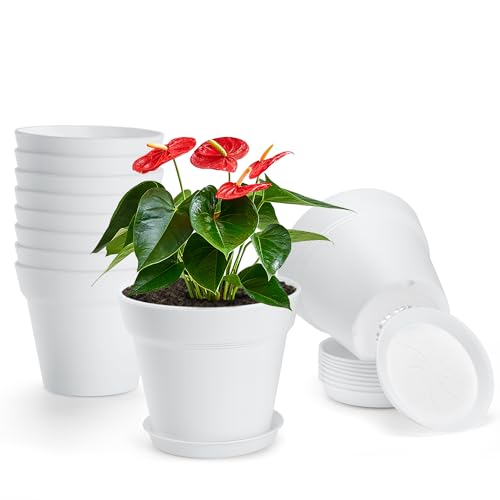 10 Pack Plastic Plant Pots with Drainage Holes and Tray, 6 inch Thickened Indoor Planters Seedlings Nursery Pots for Flowers, African Violet, Succulent and All House Plants, White - color: White, size: 10 Pack-6in