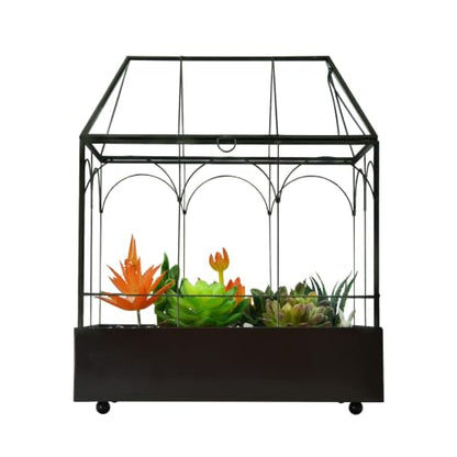 Large Tall Glass Plant Terrarium – House Succulent Terrarium Kit with Lip and Tray Glass Greenhouse Terrarium for Plant 9.5”X5.7”X11.4” - color: Black 3