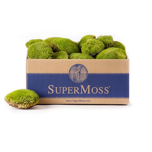 SuperMoss (21891) Topa Moss Preserved | Eco-Friendly Home & Wall Décor for Terrariums, Wedding Tables, Indoor Planters & More, 1564 cu in, Fresh Green - size: 1,560 cu in