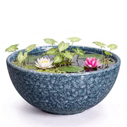 Lotus Bowl, 10 Inch Ceramic Succulent Pots, Bonsai Pots, Scale Blue | Round Bowl Planter with Drainage Hole, Shallow Planter for Indoor Plants, Money Tree Pot, Home Decor, Plant Lover Gifts - color: Scale Blue-1, size: 10 Inch