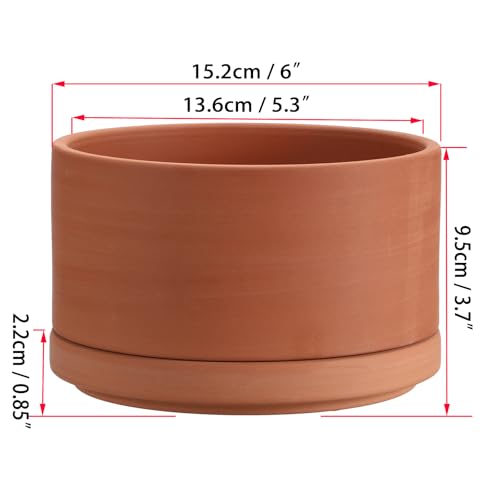 JUXYES 6 Inch Shallow Terracotta Pots with Holes and Saucers for Succulents | Built-in Drainage Hole, Wide Shallow Planter Clay Flower Pots for Indoor & Outdoor, Planter for Succulent, Cacti, Bonsai - size: 6 Inches