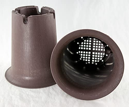 2 Round Cascade Plastic Bonsai Training Pot, Succulent & Orchid Planter 5.25"x 5.25"x 5.75" - Tan