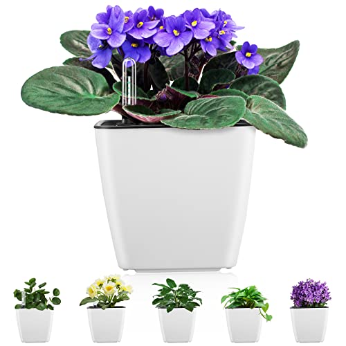 Self Watering Planters for Indoor Plants, 5.2 Inch 6 Pack Square Plastic Plant Pots with Water Level Indicator & Drainage System for African Violet Herbs Succulents - White - color: White