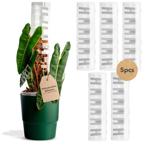 V3 GrowPole Large 5 Pcs - Front Opening Plastic Moss Poles for Climbing Plants, D-Shaped Moss Pole for Monstera Plant Support Plant Climbing Pole, Plastic Plant Pole Support for Philodendron - size: V3 Large 5 Pcs