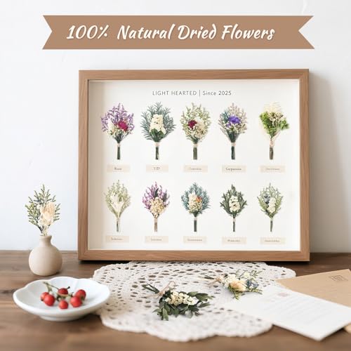 12/24 PCS Charming Dried Flowers Bouquet for Vase Various Dried Wildflowers with Stems Mini Handmade Wildflowers Natural Real Flowers Bulk Flowers Craft (White Series, 24 PCS) - color: White Series