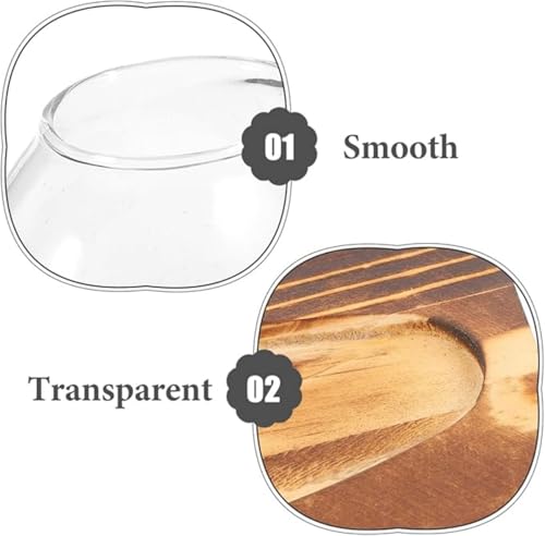 Hydroponic Vase for Indoor Plants with Wooden Base Water Propagation Station Glass Plant Display Terrarium Container