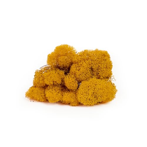 Super Moss (25125) Reindeer Moss Preserved, Mango, 2oz - color: Mango, size: 80.75 cubic inch (in3) Bag (Appx. 2oz)