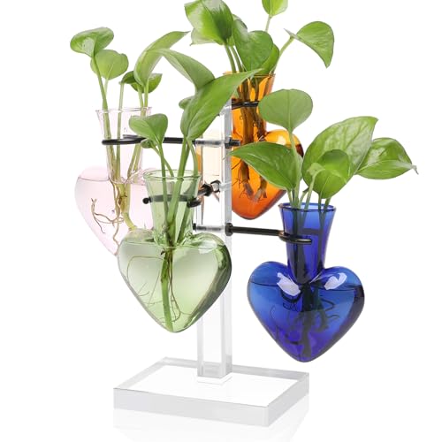 Plants Propagation Stations Plant Terrarium Kit Gift for Women - color: 4 Color
