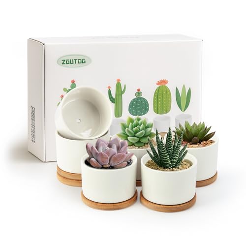 ZOUTOG 6 Pack 3.1" Ceramic Succulent Pots,White Planter with Drainage Tray - color: Bright White, size: 6 Pack
