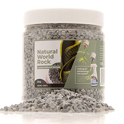Natural World Rock Plant Topper Rocks - Beautiful Natural Rocks | 4lbs | 1/5" Diameter | Home & Garden Plant Pots Vases and Decorations (Nero Grey Marble) - color: Nero Grey Marble