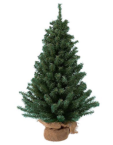 Kurt Adler 12- Inch Miniature Pine Tree