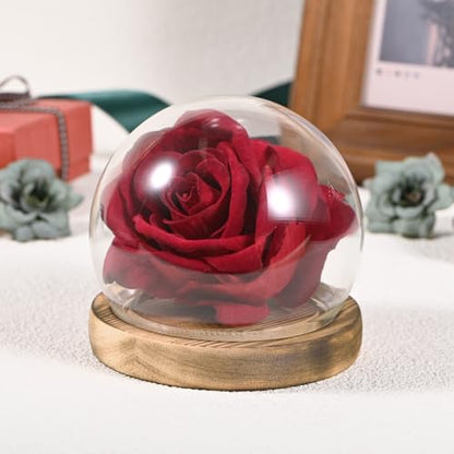 M METERXITY Cloche Glass Dome, D3.9In Ball Jar with Wooden Base for DIY Snow Globes/Small Plants/Flowers/Candles/Models/Souvenirs, Glass Display Case [White] - color: White, size: D3.9In