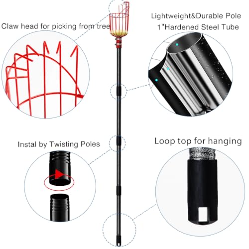 DonSail Fruit Picker Pole Tool with Basket Telescoping, Adjustable Apple Picker Pole 35-170 inch Long Handle, Mango Orange Avocado Fig Acorn Lemon Pear Pomelo Chery Picker for Tree - size: 35-170"