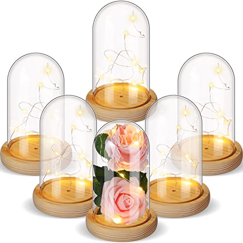 6 Pcs Plastic Cloche Dome Display with Base and LED Light | 6.5 X 3.7 Inch Case for Flowers Plants Candles Medals, Wood Base Bell Jar, Decorative Miniatures Photos Protection