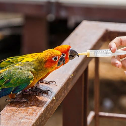 Baby Bird Feeding Syringe Set, Pet Parrot Milk Feeding Syringe with Tubes, Parrot Feeding Tubes Measuring Tools for Feeding Pets Scientific Industrial Labs… (12ml +20ml syringe+50ml Measuring Cup) - color: 12ml +20ml syringe+50ml Measuring Cup