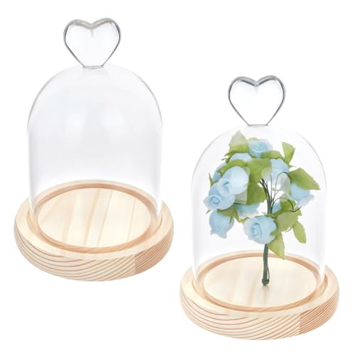MAYJOYDIY 2 Pack Cloche Glass Dome Dome Cloche with Rustic Wooden Base Glass Cloche Bell Jar Display for Plants, Plants, Medals, Photos, Antique Collectibles, 3.8x5.7" - size: 3.8x5.7"