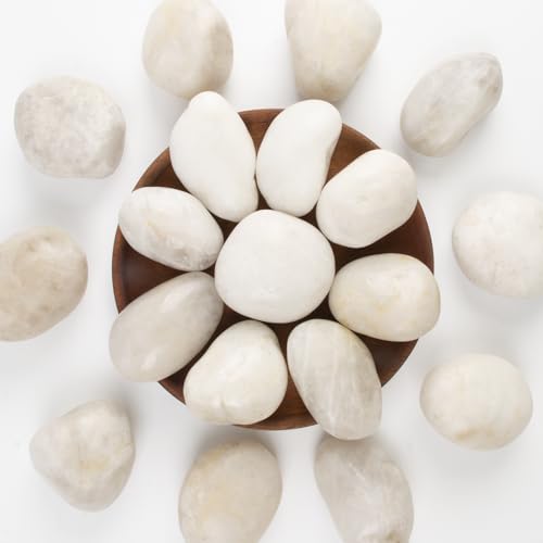 River Rocks - Natural Polished White Pebbles, 2-3 inches, 10 lbs - Ideal for Patio Landscaping, Rock Gardens, Succulent Arrangements, and Pathway Edging (White, Weight: 10 LB) - color: White, size: Weight: 10 LB