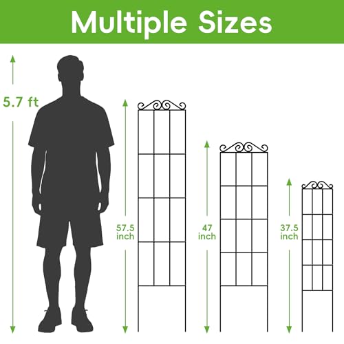 ARIFARO 4Pack 37.5'' Metal Garden Trellis for Climbing Plants Outdoor | Thicken Steel Trellis, For Indoor/Outdoor, Tomato, Cucumber, Rose, Flower, Potted Plants, Houseplants, Climbing Vines, Black - size: 37.5 inches